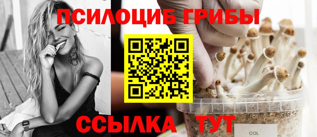 Псилоцибиновые грибы Cubensis Ростов Великий